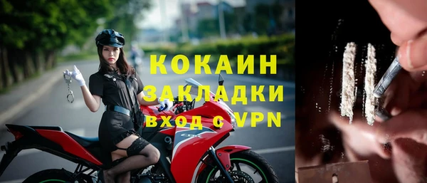 сатива Ельня