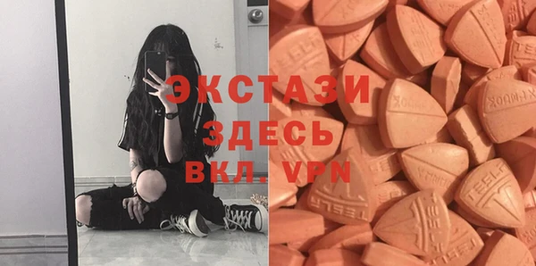 сатива Ельня