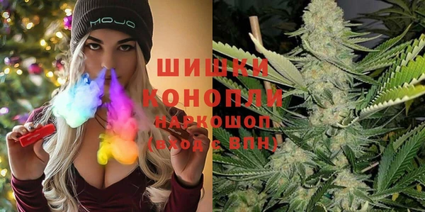 сатива Ельня