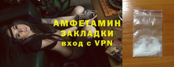 сатива Ельня