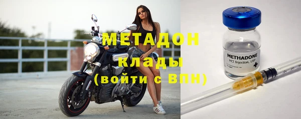 сатива Ельня