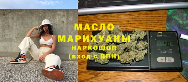 сатива Ельня