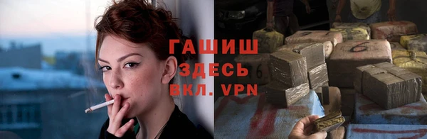 сатива Ельня