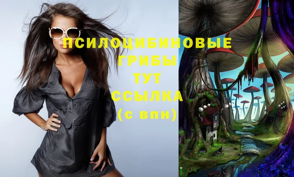 ALPHA PVP Елизово
