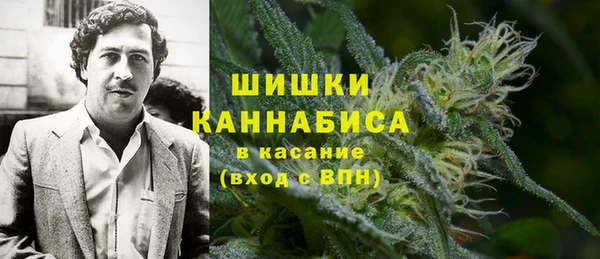 ALPHA PVP Елизово