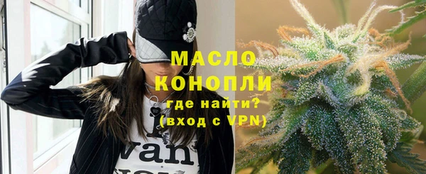 сатива Ельня