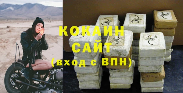 ALPHA PVP Елизово