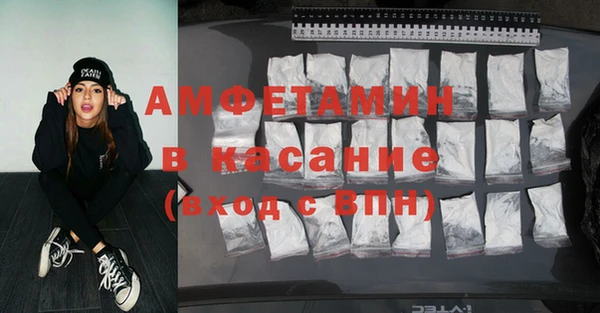 сатива Ельня