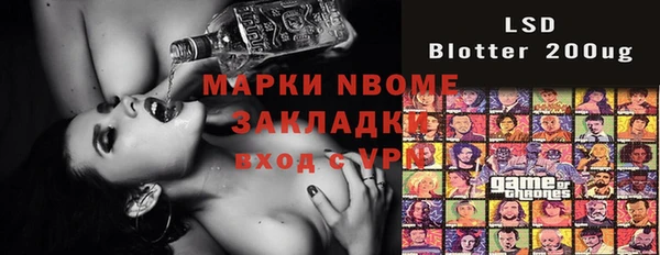 сатива Ельня
