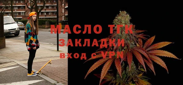 сатива Ельня