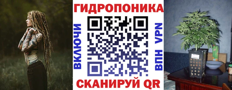 Бошки марихуана марихуана  Купить  Дмитровск 